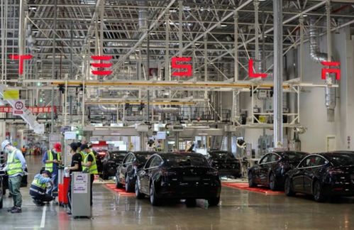 鲶鱼 特斯拉终成 鲨鱼 ,蔚小理迪 巧了,我们也是