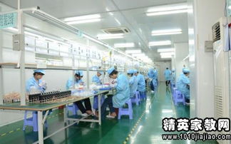 大学生家具厂实践报告