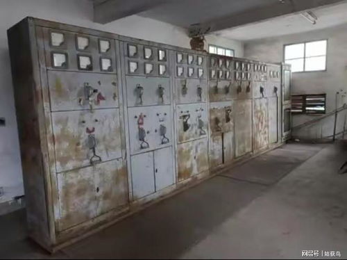 上海市金山区有一座大型废弃工厂拍卖,被人以2806万元的高价拿下