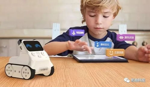 黑柚,做您智慧生活的造梦家