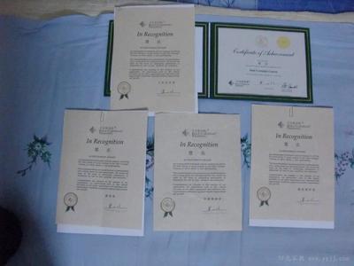 上海家教 提升教育质量的桥梁