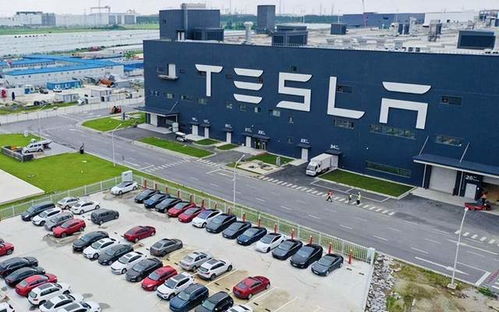 特斯拉欧洲工厂受冲击，凸显中国制造无可替代，印度市场是答案吗？